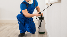 Cockroaches, Ants & General Pest Control - Apartment