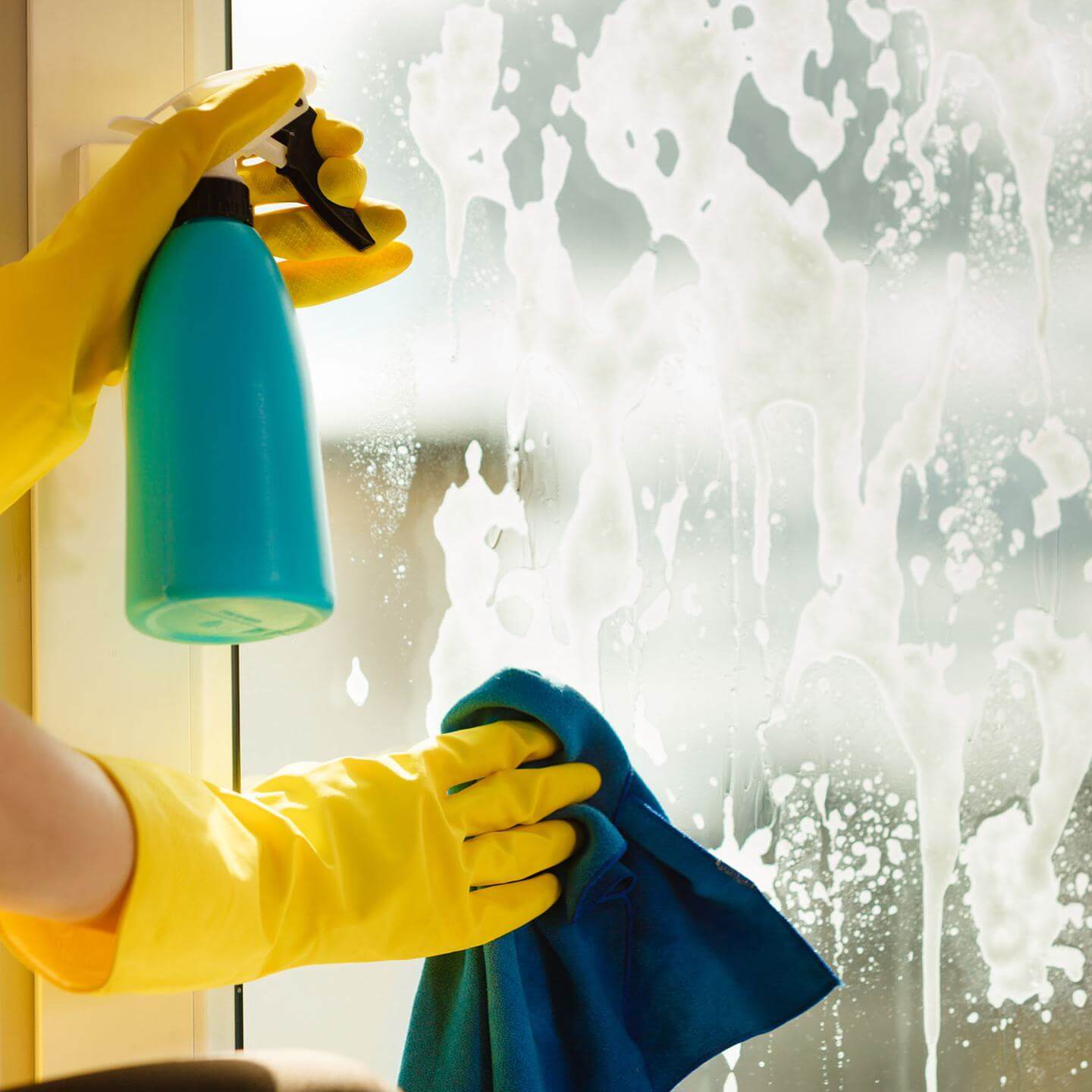 Move-in deep cleaning - Window Cleaning