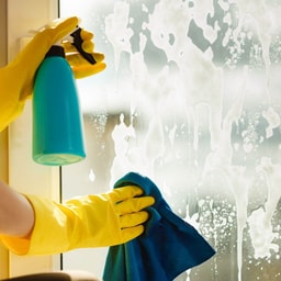 Move-in deep cleaning - Window Cleaning