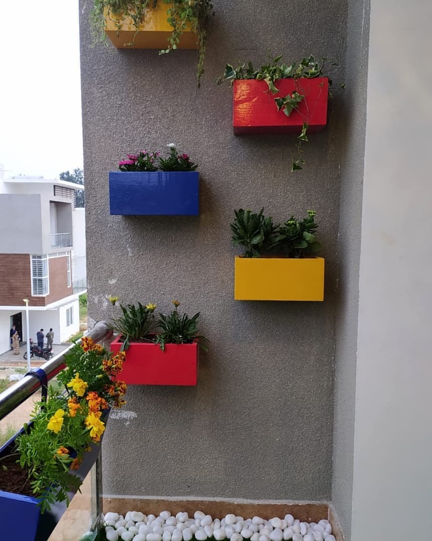 Coloured Planters