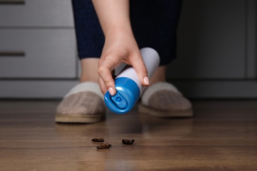 How To Get Rid Of Cockroaches From Your Home