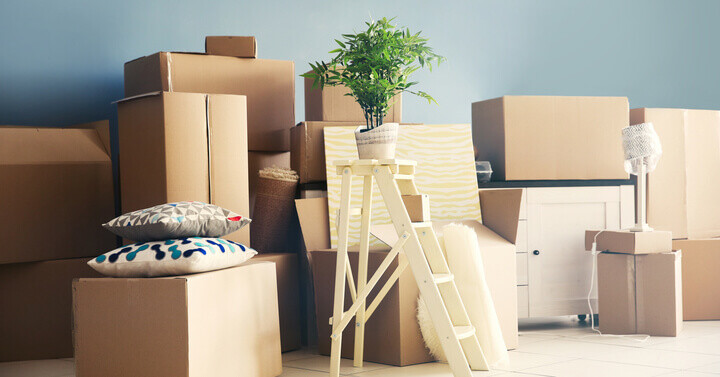 shutterstock_426913510