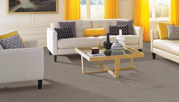 neutral carpet colour