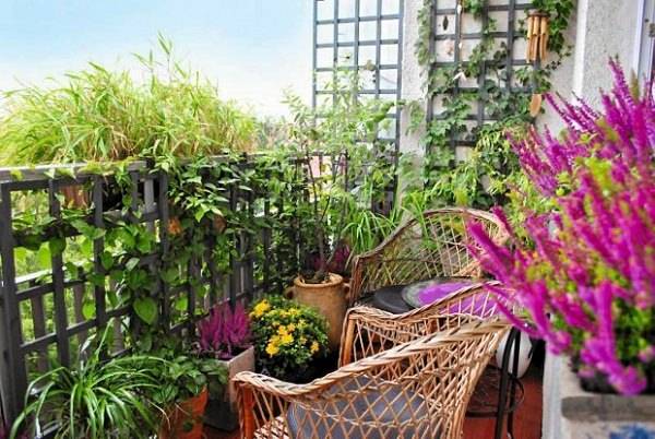 balcony garden