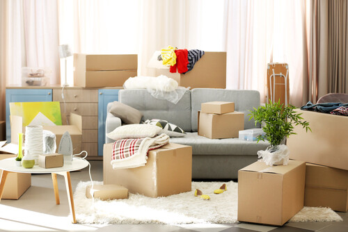 Hiring Packer And Mover? Top 6 Benefits Of Hiring A Professional One