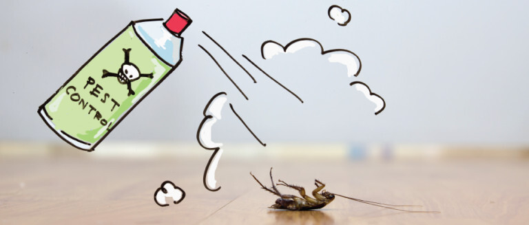 Top 10 Pest Control Tips And Tricks To Keep Pests Away
