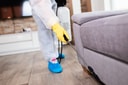 Cockroaches, Ants & General Pest Control