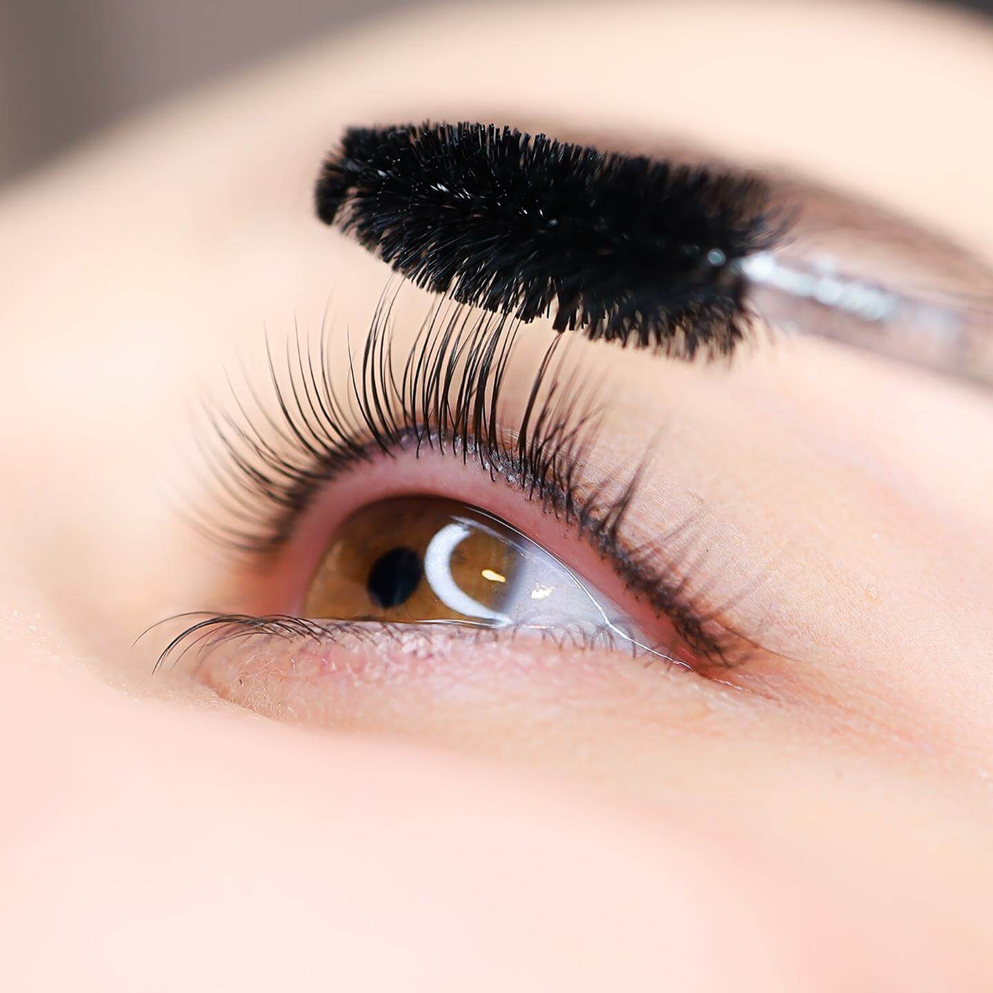 Lashes Extensions