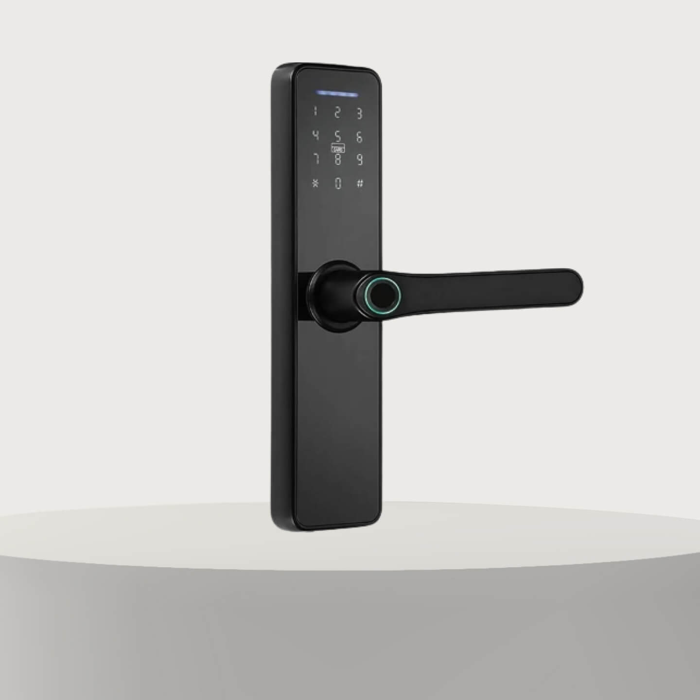 Native Smart Locks in Mumbai, India