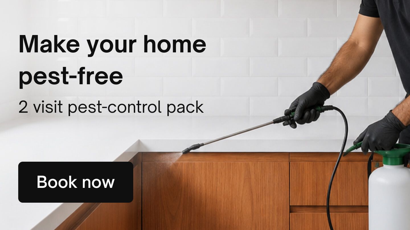 Cockroach Control