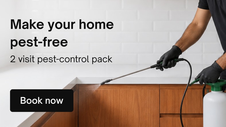 Cockroach Control