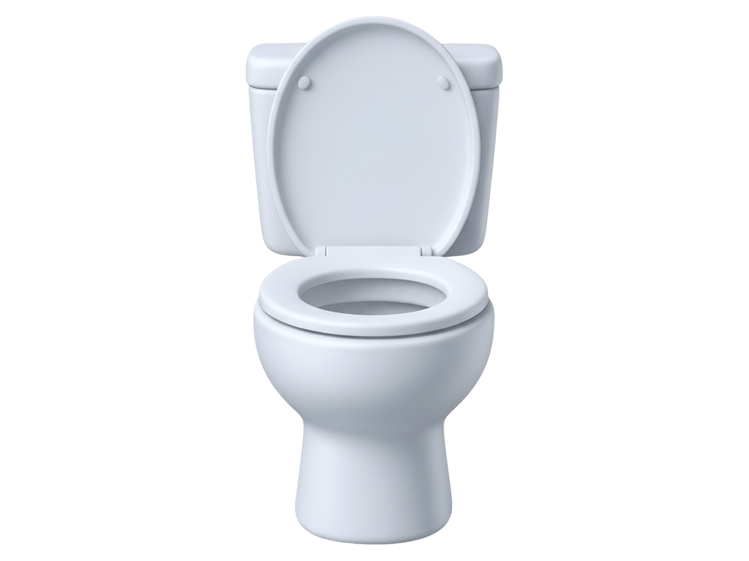 Bathroom Cleaning