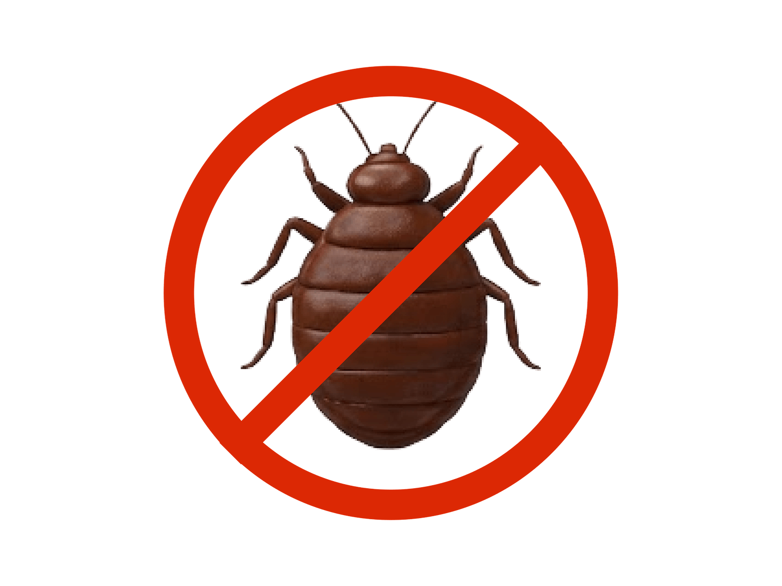 Top-class reliable bed_bugs_control services at your convenience near me. * Trained professionals * Best prices!