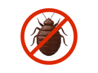 Top-class reliable bed_bugs_control services at your convenience near me. * Trained professionals * Best prices!