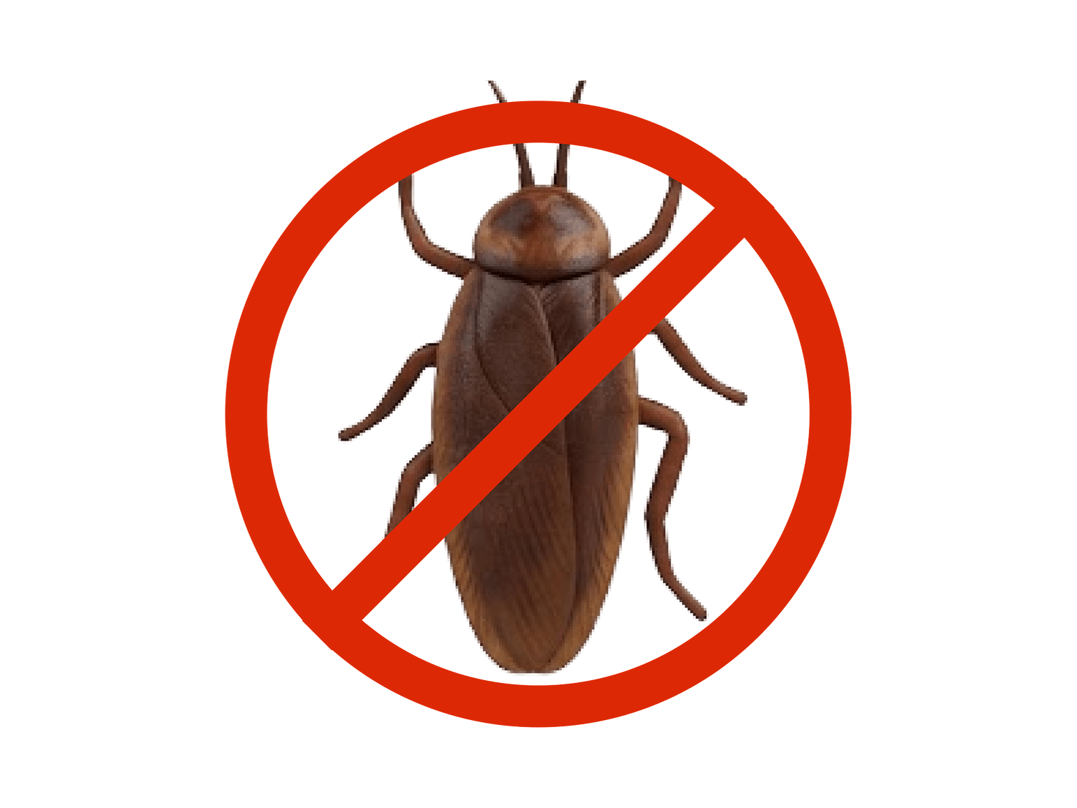 Cockroach Control