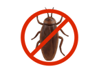 Cockroach Control