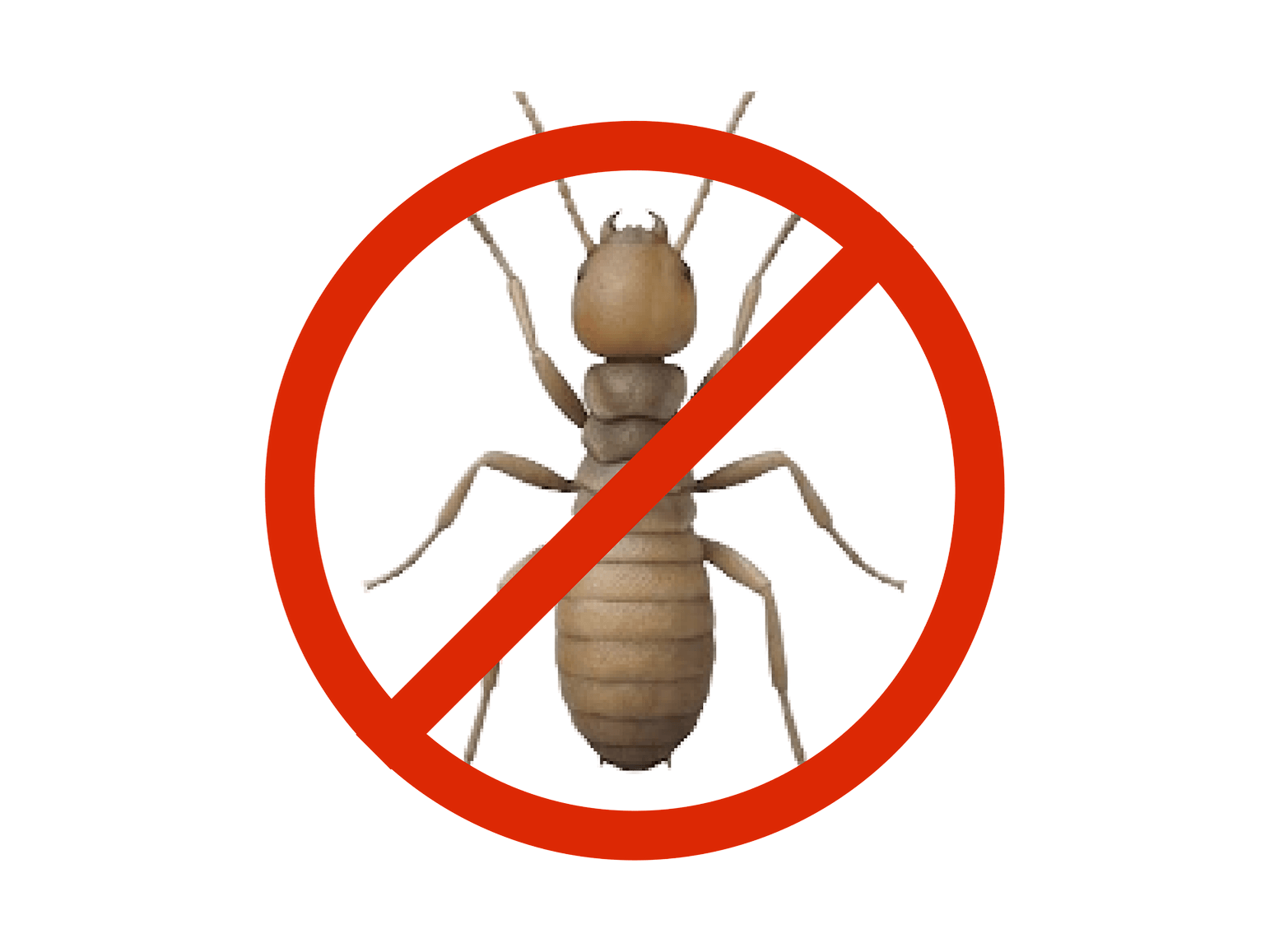 Top-class reliable termite_control services at your convenience near me. * Trained professionals * Best prices!