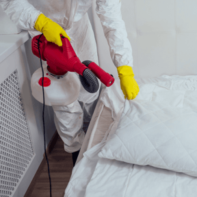 Bed bugs control