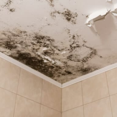Waterproofing & grouting