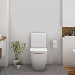 Kitchen & bathroom painting - Bathroom painting