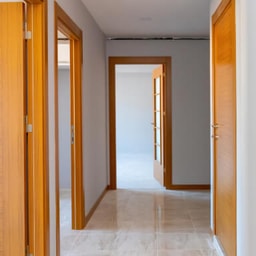 Living & dining room painting - Lobby painting