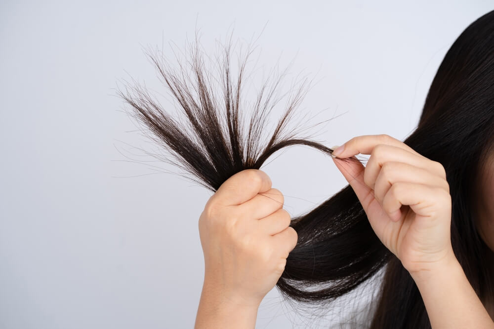 Hair spa treatments help in moisturizing dry and damaged hair.