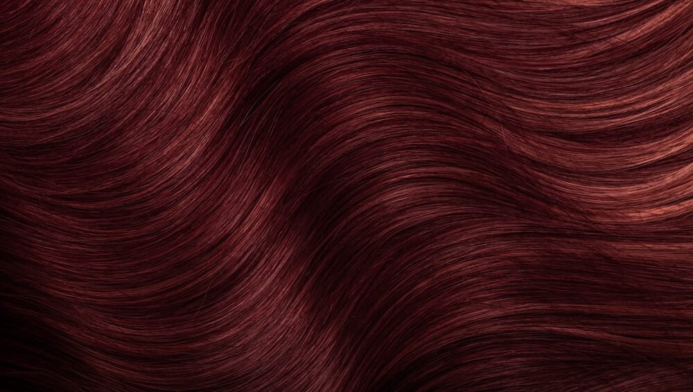 L'Oréal Excellence Creme - Burgundy (4.20)