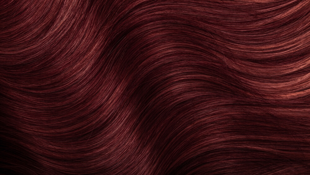 L'Oréal Excellence Creme - Burgundy (4.20)