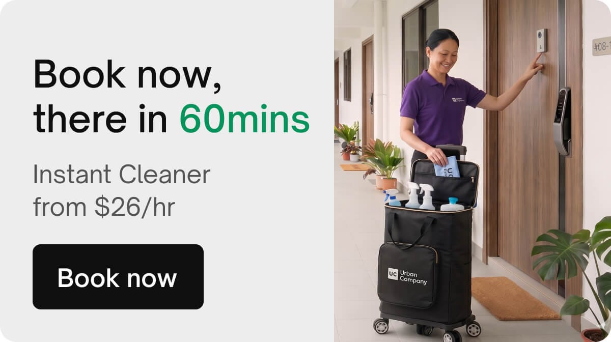 Instant Cleaning