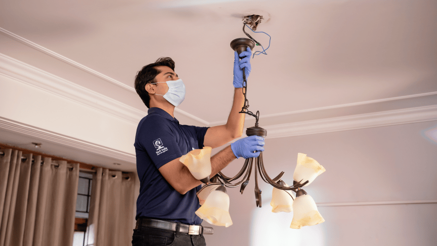 Lighting fixtures - Chandelier installation(> 6 bulbs)- Amazon