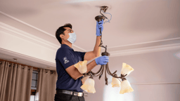 Lighting fixtures - Chandelier installation(> 6 bulbs)- Amazon