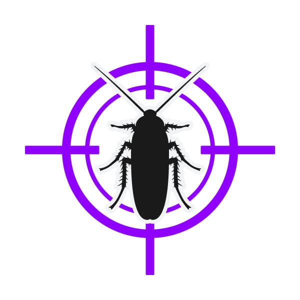 Cockroach Control