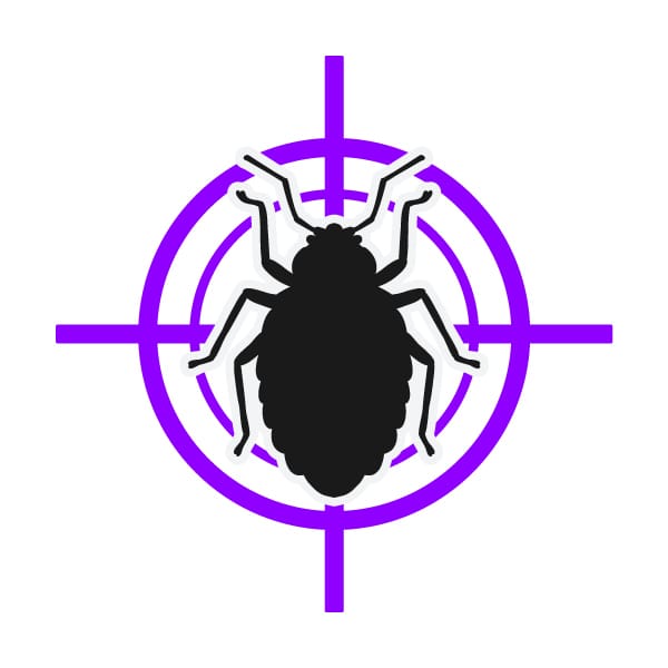 Bed Bug Control