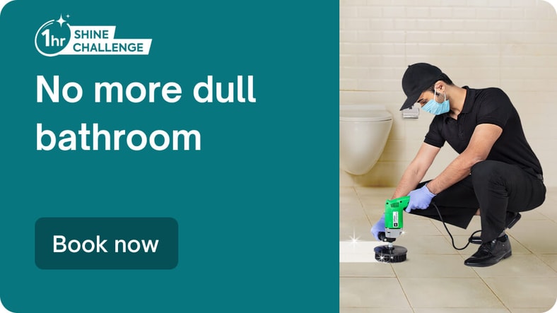 Bathroom Cleaning