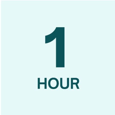 1 hour