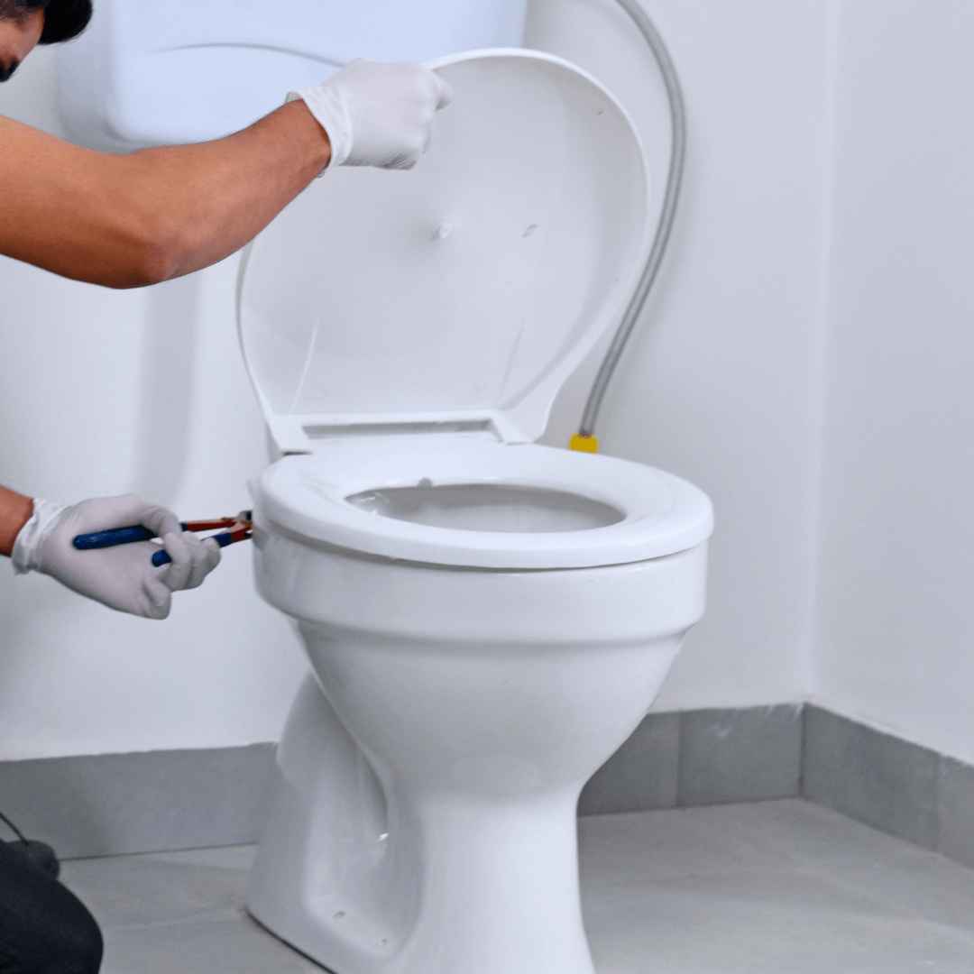 Toilet repairs and installation - Toilet seat related 