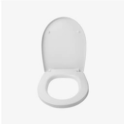 Toilet repairs - Toilet seat cover replacement