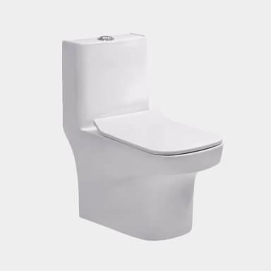 Toilet - Western toilet repair (floor mounted)