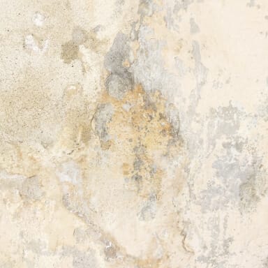 Water damage repair 