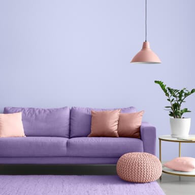 Color painting  - Apartment