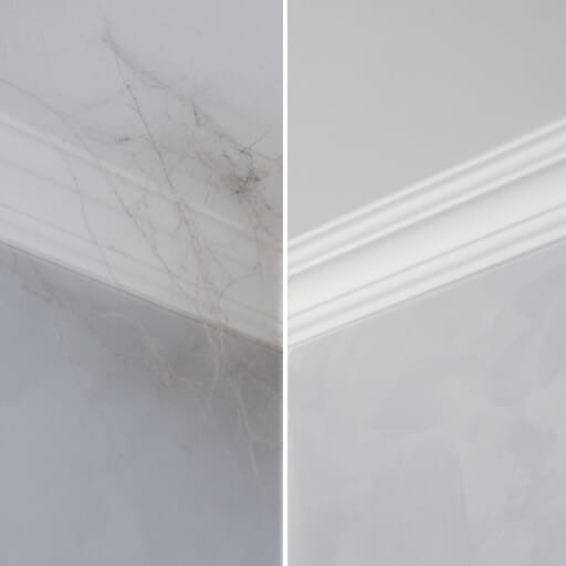 Mini services - Ceiling & fan cobweb dusting (upto 1 room)