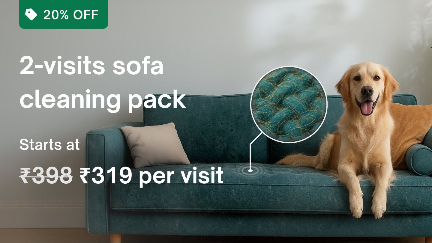 Super saver deals - 2 visits: Fabric sofa cleaning