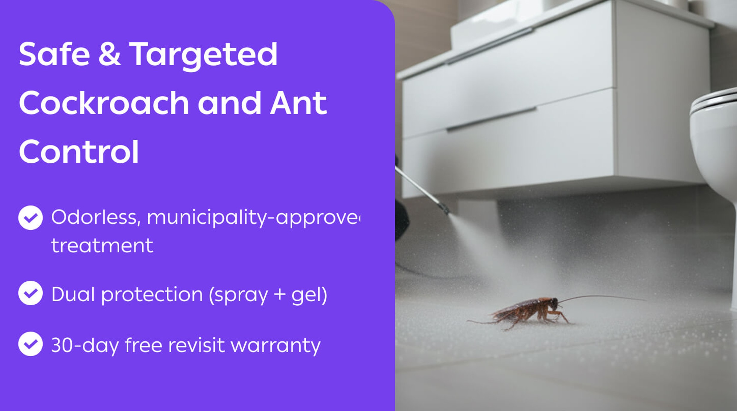 Coackroach and Ants Pest control - Cockroach and Ants Pest control