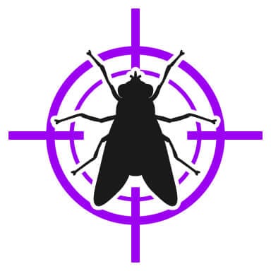 Flies control  - Flies control for apartment 