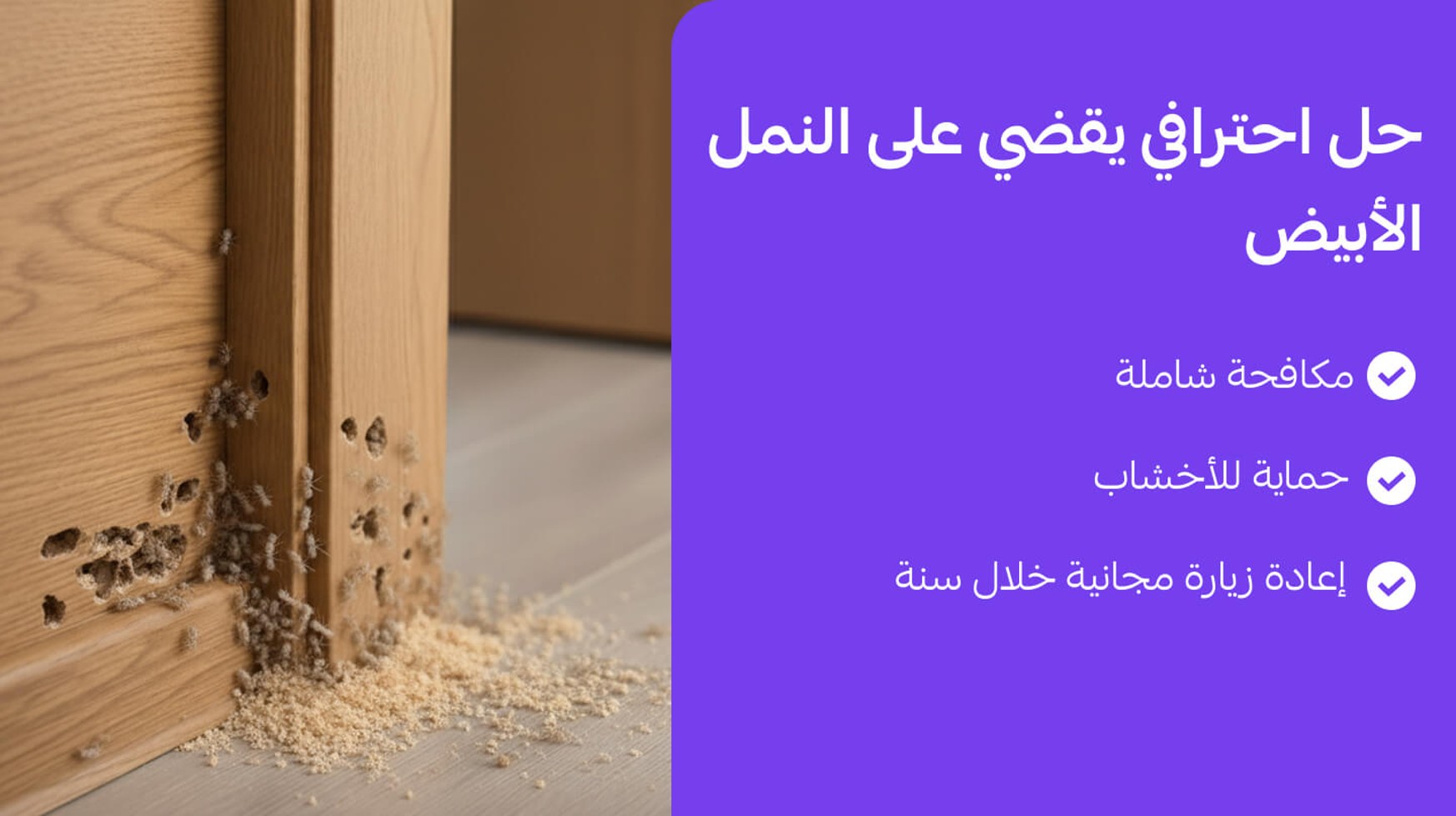 Termite Control 0