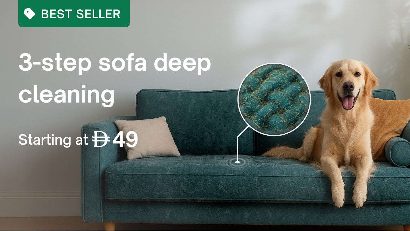 Sofa - Sofa Deep Cleaning
