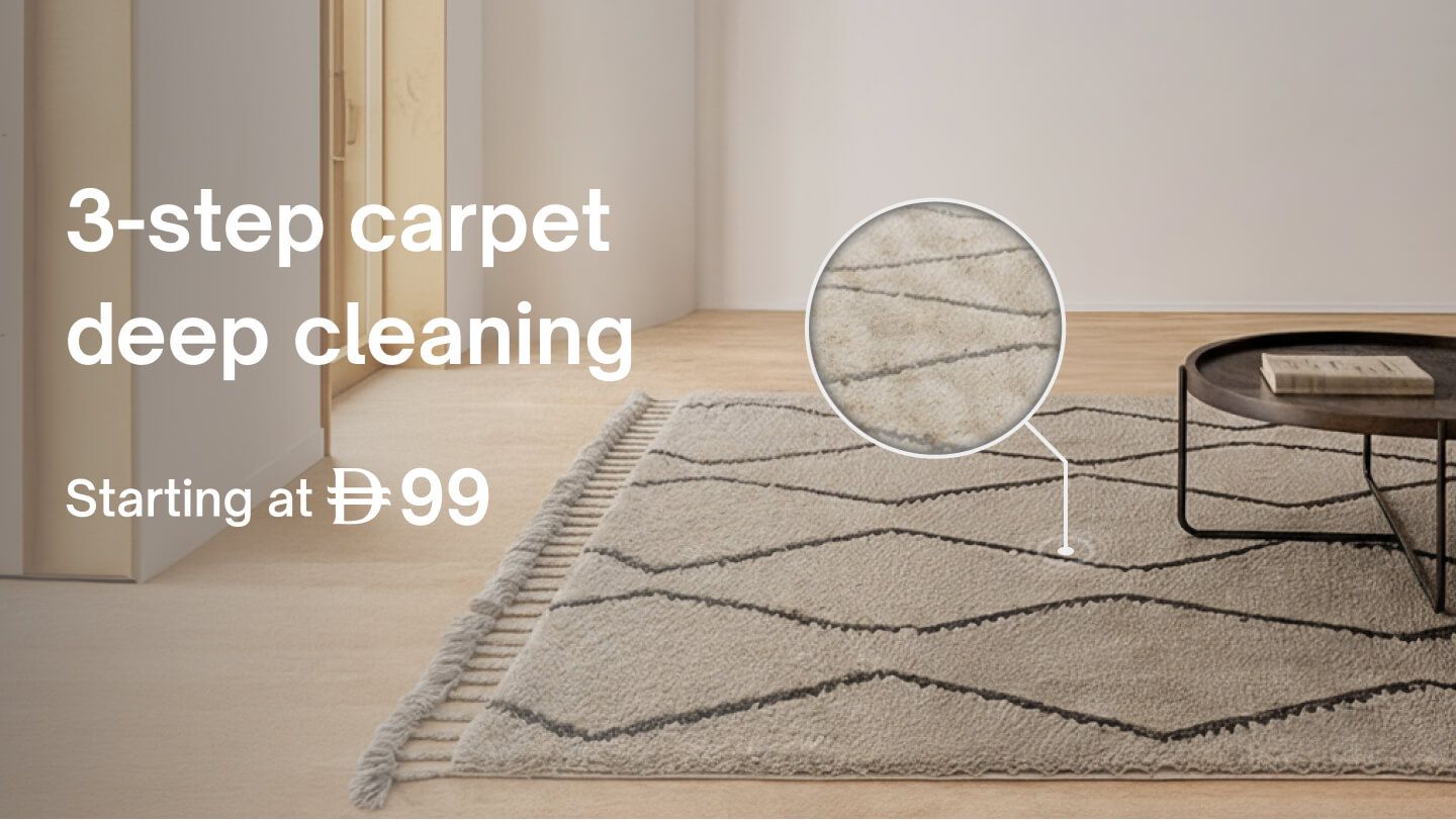 Carpet - Carpet deep cleaning