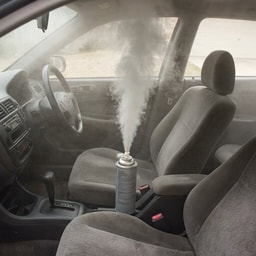 Other mobile detailing services - Pest fumigation