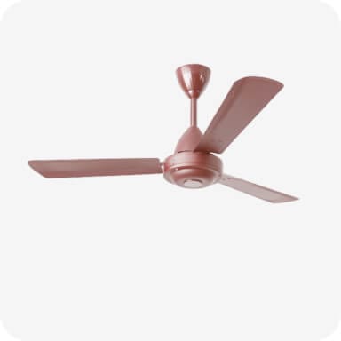 Fan - Regular Ceiling Fan Replace/ Install