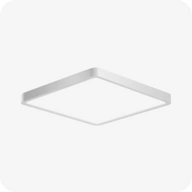 Light - Ceiling Lights Replace/ Install